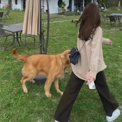 贵在真诚