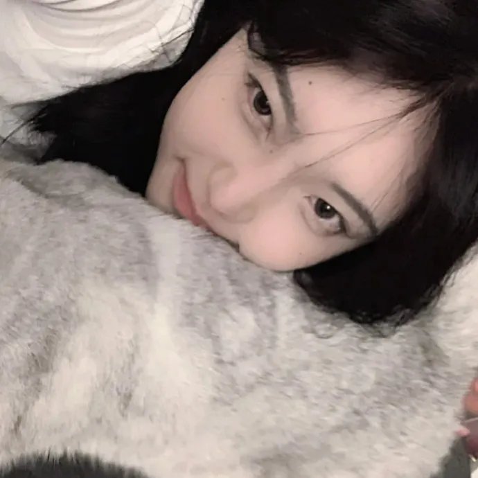 赘婿动画版